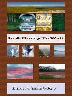 cover image of In a Hurry to Wait